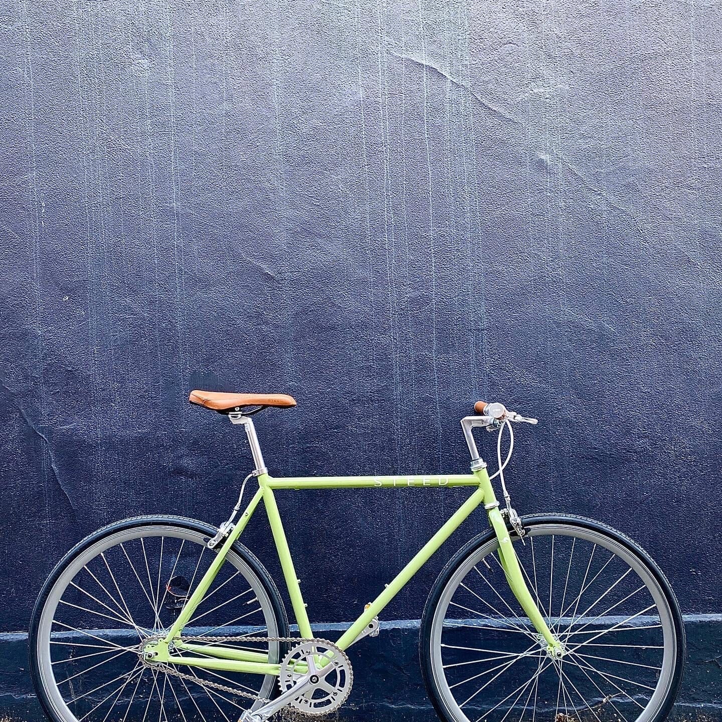 THOROUGHBRED | Woodland Green Single Speed Bike Bicycles Steed Bikes 