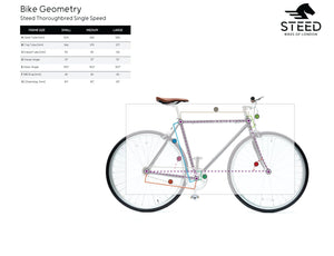 
                  
                    Load image into Gallery viewer, THOROUGHBRED | Woodland Green Single Speed Bike Bicycles Steed Bikes 
                  
                
